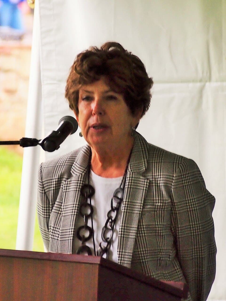 Mary Kay Andrews, audiobook author
