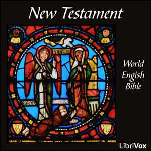 Bible (WEB) NT 01-27: The New Testament audiobook cover