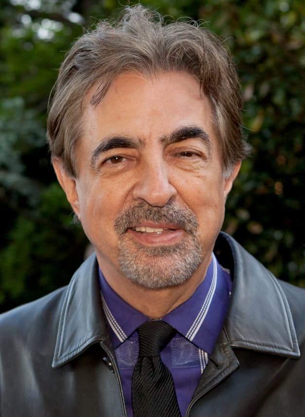 Joe Mantegna, audiobook narrator