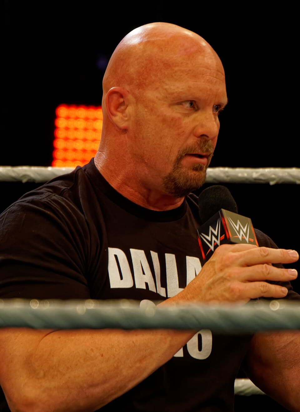 Steve Austin, audiobook narrator