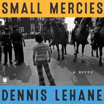 Small Mercies: A Novel audiobook cover