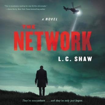Network: A Novel audiobook cover