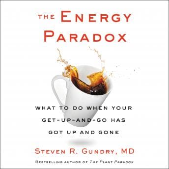 Energy Paradox: What to Do When Your Get-Up-and-Go Has Got Up and Gone audiobook cover