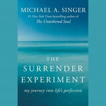 Surrender Experiment: My Journey into Life's Perfection audiobook cover