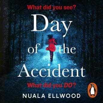 Day of the Accident: The compelling and emotional thriller with a twist you won't believe audiobook cover