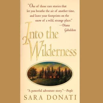 Into the Wilderness: A Novel audiobook cover