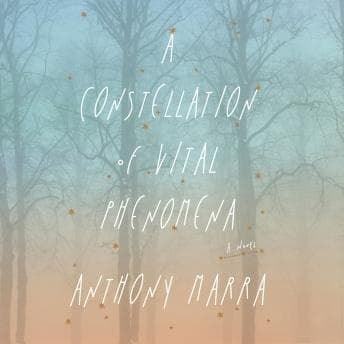 Constellation of Vital Phenomena: A Novel audiobook cover