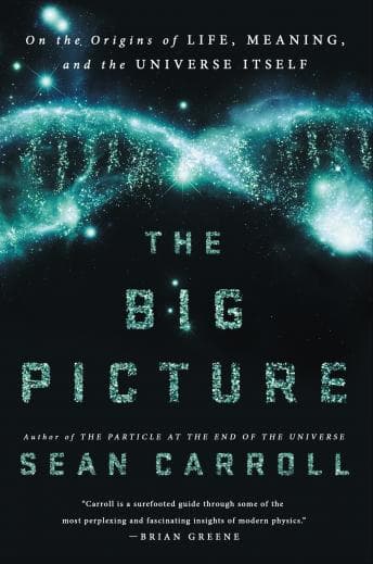 Big Picture: On the Origins of Life, Meaning, and the Universe Itself audiobook cover