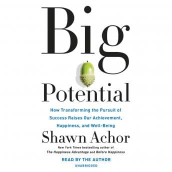 Big Potential: How Transforming the Pursuit of Success Raises Our Achievement, Happiness, and Well-Being audiobook cover