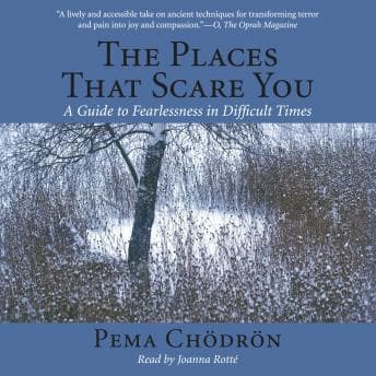 Places That Scare You: A Guide to Fearlessness in Difficult Times audiobook cover