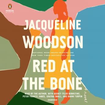 Red at the Bone: A Novel audiobook cover