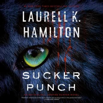 Sucker Punch audiobook cover