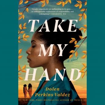 Take My Hand audiobook cover