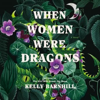 When Women Were Dragons: A Novel audiobook cover