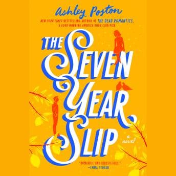 Seven Year Slip audiobook cover