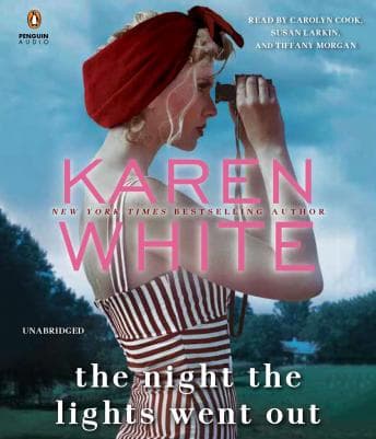 Night the Lights Went Out audiobook cover
