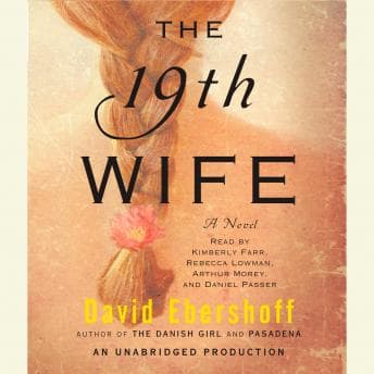 19th Wife: A Novel audiobook cover