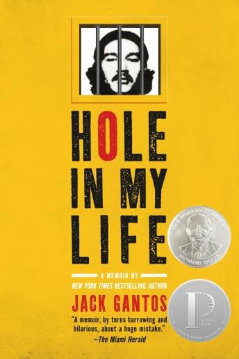 Hole In My Life audiobook cover
