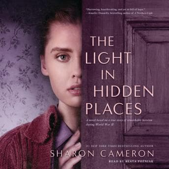 Light in Hidden Places audiobook cover