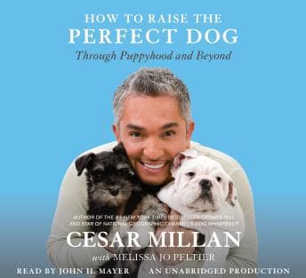 How to Raise the Perfect Dog: Through Puppyhood and Beyond audiobook cover