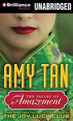 Valley of Amazement audiobook cover