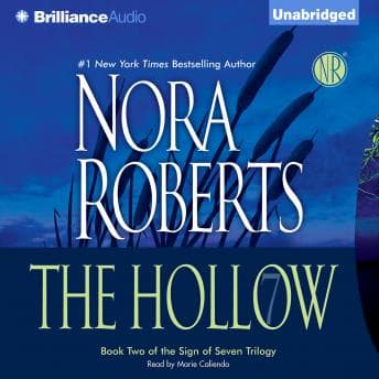 Hollow audiobook cover