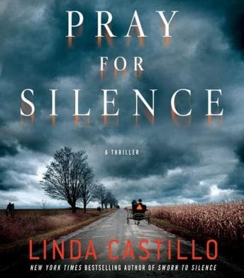 Pray for Silence: A Kate Burkholder Novel audiobook cover
