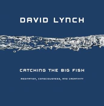 Catching the Big Fish: Meditation, Consciousness, and Creativity audiobook cover