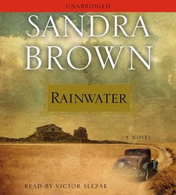 Rainwater audiobook cover