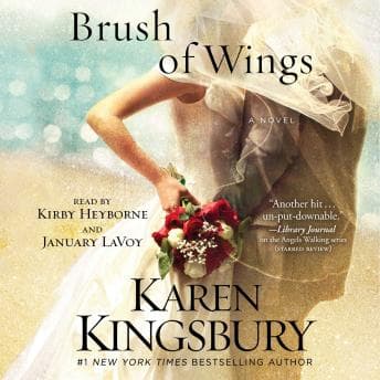 Brush of Wings: A Novel audiobook cover