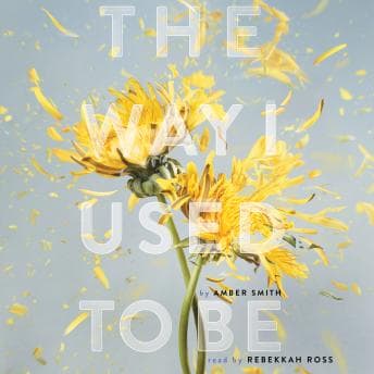 Way I Used to Be audiobook cover