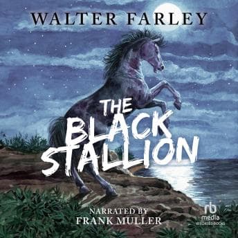 Black Stallion audiobook cover