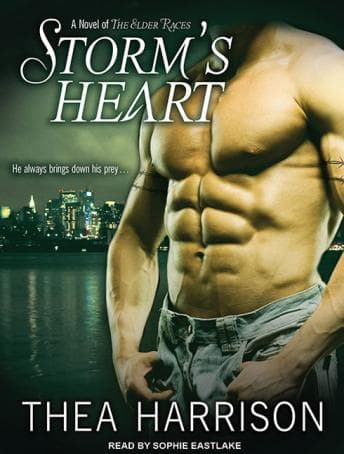 Storm's Heart audiobook cover