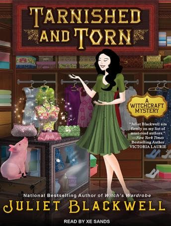 Tarnished and Torn audiobook cover