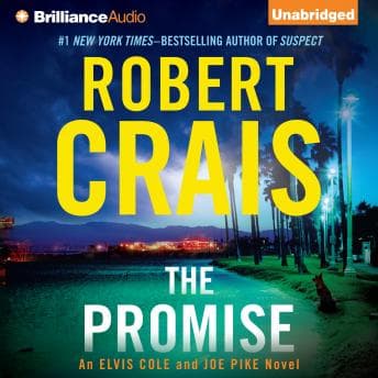 Promise audiobook cover