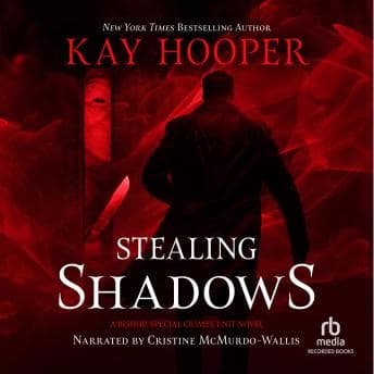 Stealing Shadows audiobook cover