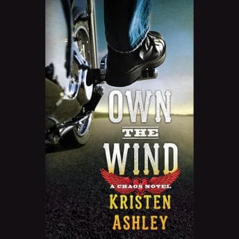 Own the Wind: A Chaos Novel audiobook cover