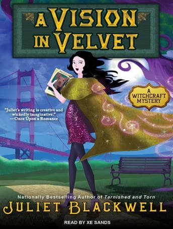 Vision in Velvet audiobook cover