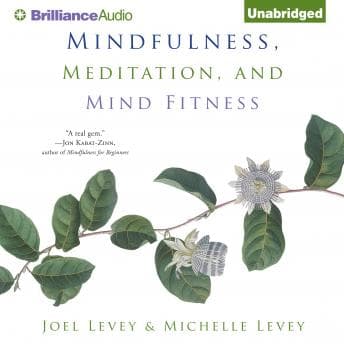 Mindfulness, Meditation, and Mind Fitness audiobook cover