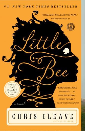 Little Bee: A Novel audiobook cover