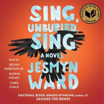Sing, Unburied, Sing: A Novel audiobook cover