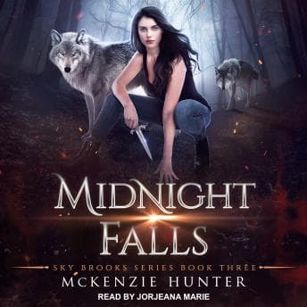 Midnight Falls audiobook cover