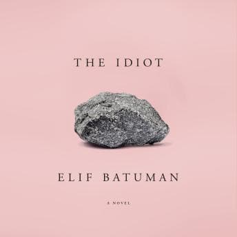 Idiot audiobook cover