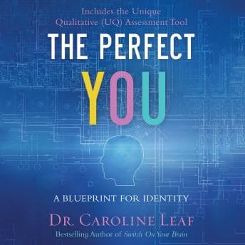 Perfect You: A Blueprint for Identity audiobook cover