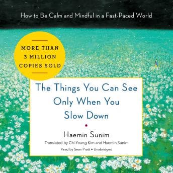 Things You Can See Only When You Slow Down: How to Be Calm and Mindful in a Fast-Paced World audiobook cover