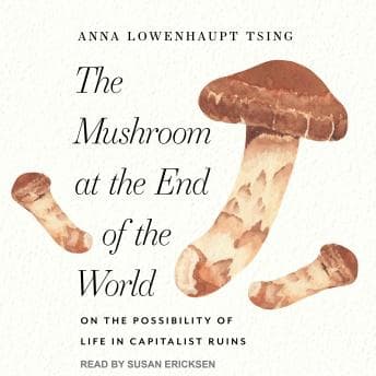 Mushroom at the End of the World: On the Possibility of Life in Capitalist Ruins audiobook cover