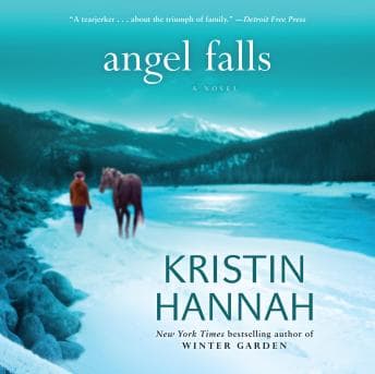 Angel Falls audiobook cover