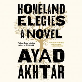 Homeland Elegies: A Novel audiobook cover