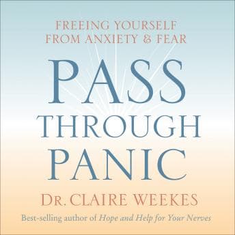 Pass Through Panic: Freeing Yourself from Anxiety and Fear audiobook cover