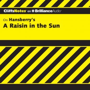 Raisin in the Sun audiobook cover